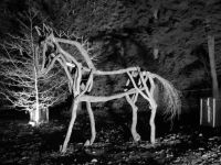 Wooden Horse Sculpture
